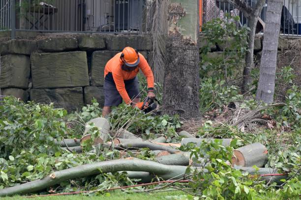 Best Arborist Consultation Services  in Moody, TX